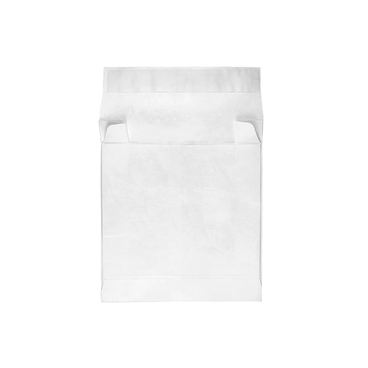 JAM Paper Expandable Booklet Catalog Envelopes w/Peel & Seal, catalog