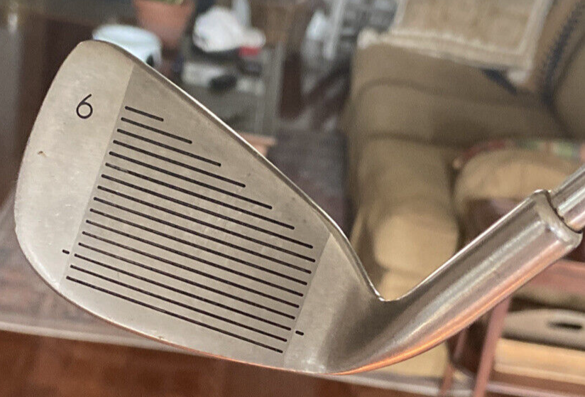 EWZ PST-K Black Dot 6-Iron⛳ RH Stainless Steel Shaft Regular Flex