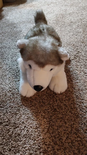 Build A Bear Husky Pup