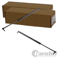 2X NTY Gasfedern HeckklappendÄMpfer Passend FüR Chrysler Voyager Dodge Caravan