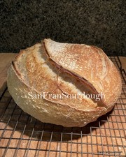 Dry San Francisco Sourdough Starter Active Dried Yeast for home baking bread