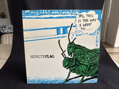 Minuteflag Lp SST Minutemen Mike Watt Black Flag 1986 Record 80s