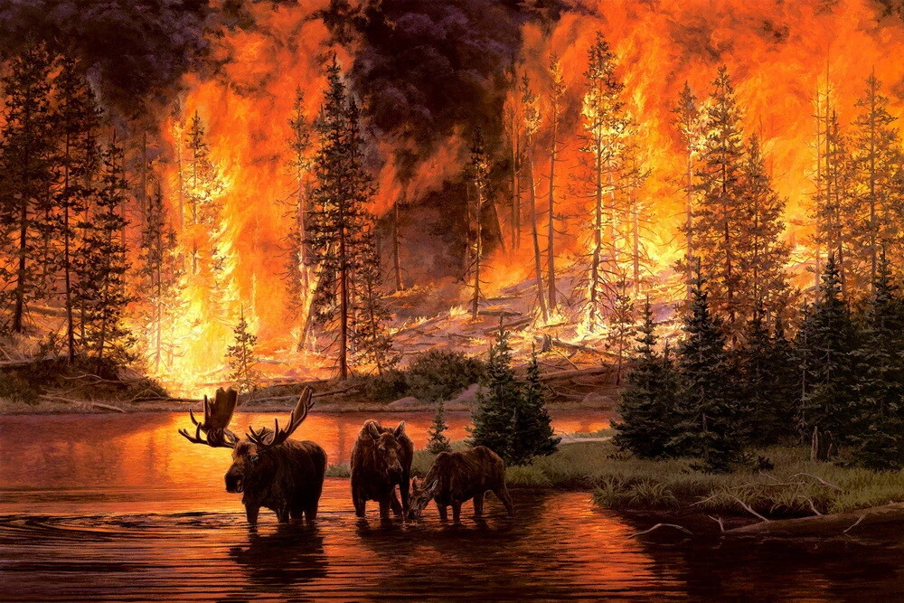 Forest Fire Scene Oil painting Wall art Giclee Printed on Canvas P504 | eBay