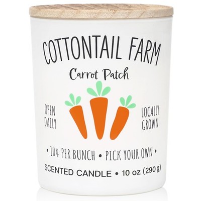 Easter Scented Candles Spring Bunny Carrot 10oz Soy Wax Holiday Decoration