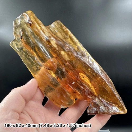 Copal with Insect Inclusions Fossil Pleistocene Madagascar Natural Resin