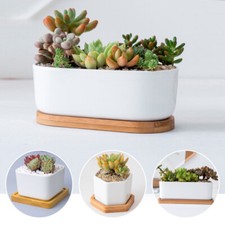 White Ceramic Succulent Plant Pot Cactus Flower Planter Bamboo Wooden Tray Stand