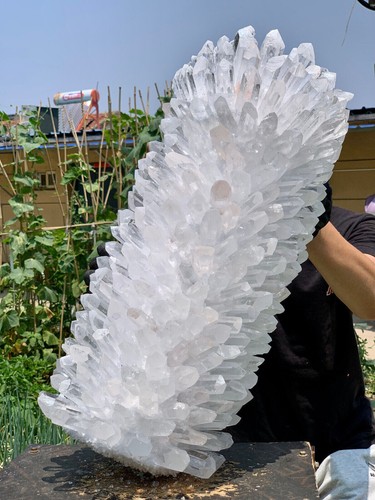 83.43LB New find white phantom quartz crystal cluster mineral sample ...