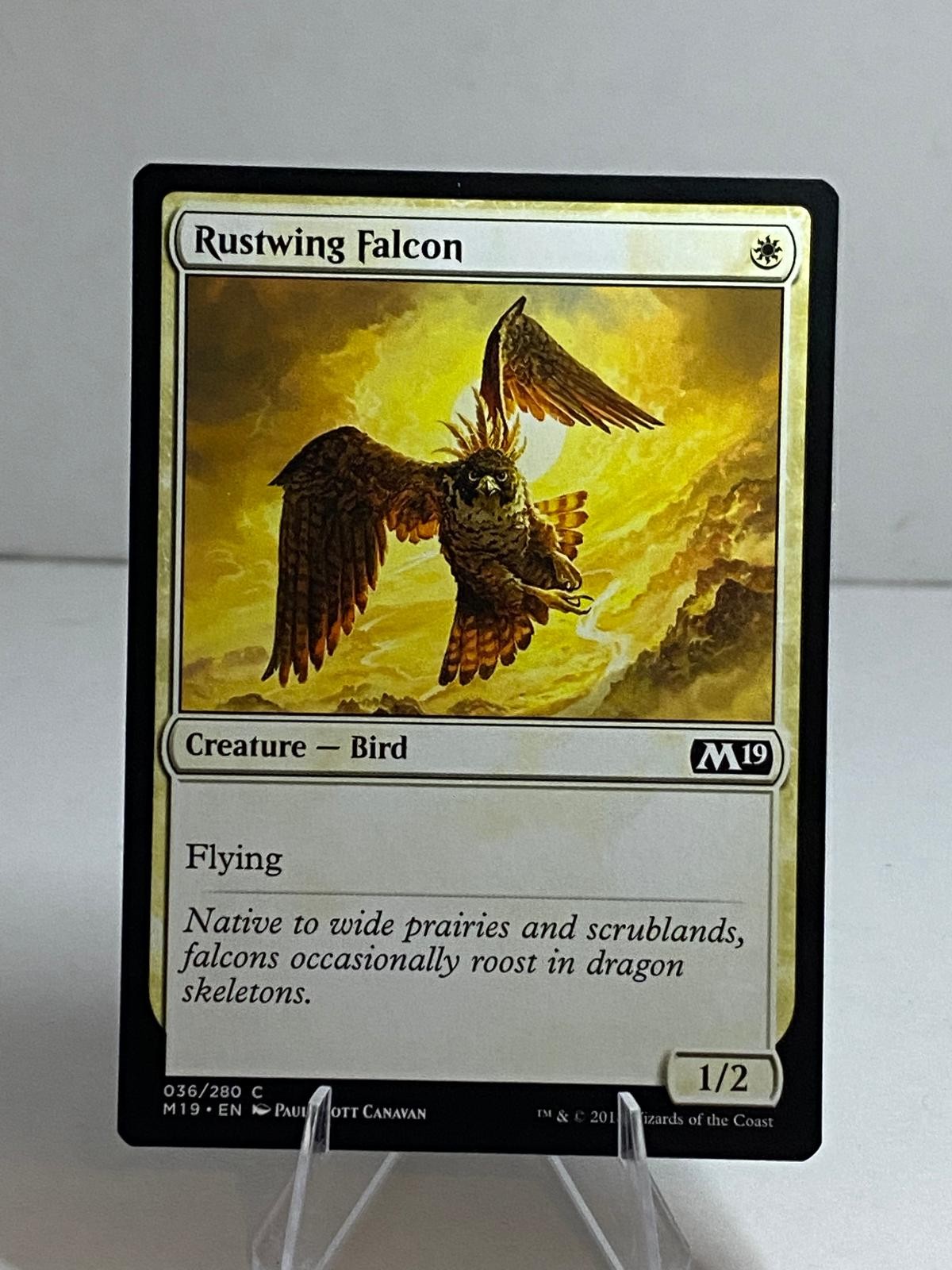 Rustwing Falcon 36 Common Core Set 2019 Near Mint