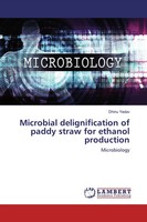 Dhinu Yadav | Microbial Delignification Of Paddy Straw For Ethanol Production