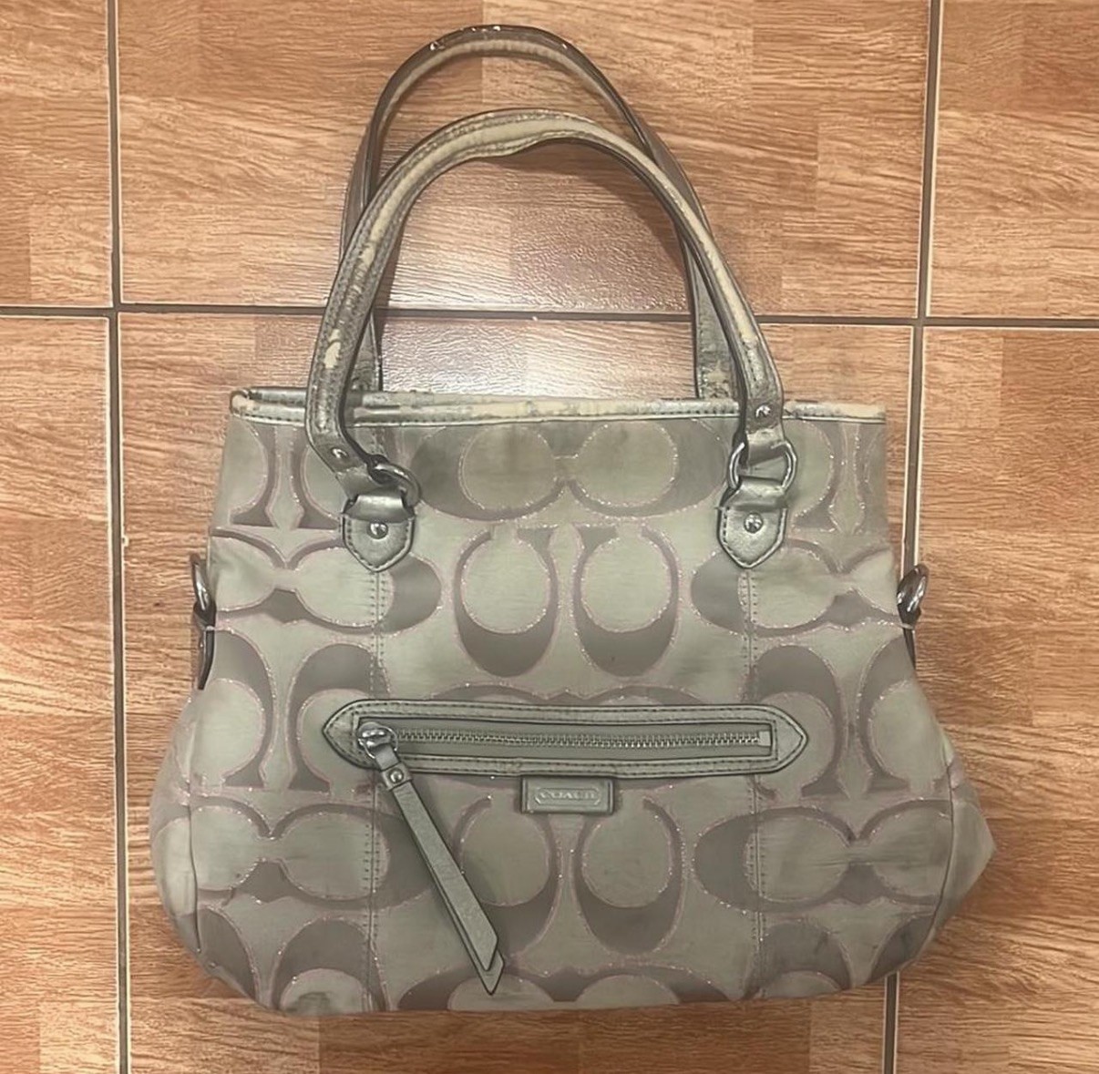 Coach Daisy Outline Signature Metallic Mia PROJECT BAG (Style F1390-F23940)