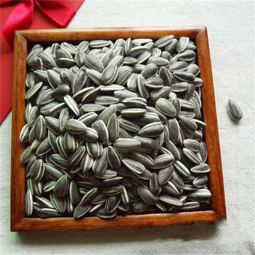 US! 100/200pcs Art Ai Weiwei Yixing Porcelain Sunflower Seeds Decoration Collect - Picture 2 of 14