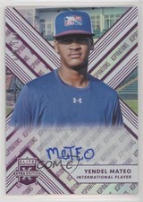 2018 Panini Elite Extra Edition Aspirations Purple 19/100 Yendel Mateo Auto 5kt