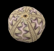 ECHINOIDEA: Sea Urchin MICROCYPHUS ROUSSEAUI Egypt 34,5 mm # RED SEA VARIATION