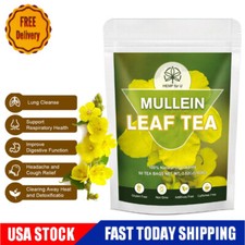 Mullein Tea Bags For Lung Cleanse Herbal Leaf of Flowers Detox Enhance Immunity