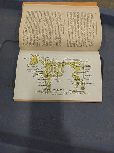 Vintage 1940 Hoard's Dairyman Booklet How To Treat Common Ailments Farm Animals - Picture 6 of 9
