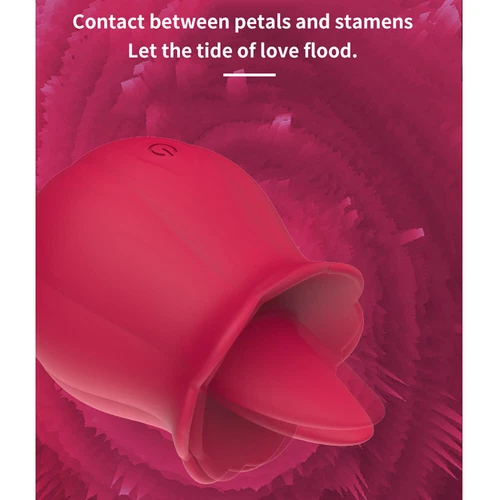 Silikon-Vibrator-Lecken-Sauger-Frauen-Massagegerät-10 Vibrationen USB Wiederaufladbar - Bild 13 von 21