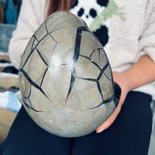 9.46LB Natural Tortuga Espalda Geoda Cuarzo Cristal Mineral Espécimen Reiki He 4300g - Imagen 10 de 14