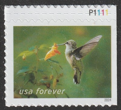 US 5846 Garden Delights Hummingbird Spotted Touch-me-not F plate single MNH 2024