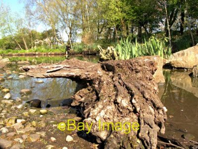 Photo 6x4 Wetland Centre, Martin Mere Tarlscough  c2014