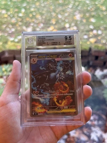 Pokemon Inferno X Japanese 110 Mega Charizard ex SAR BGS 9.5 PSA 10 REGRADE?
