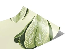 Rwraps Lettuce Vegetable Buttercrunch Butterhead Gloss Vinyl Film Wrap 59in x