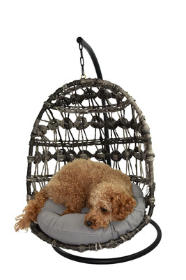 dog egg chair