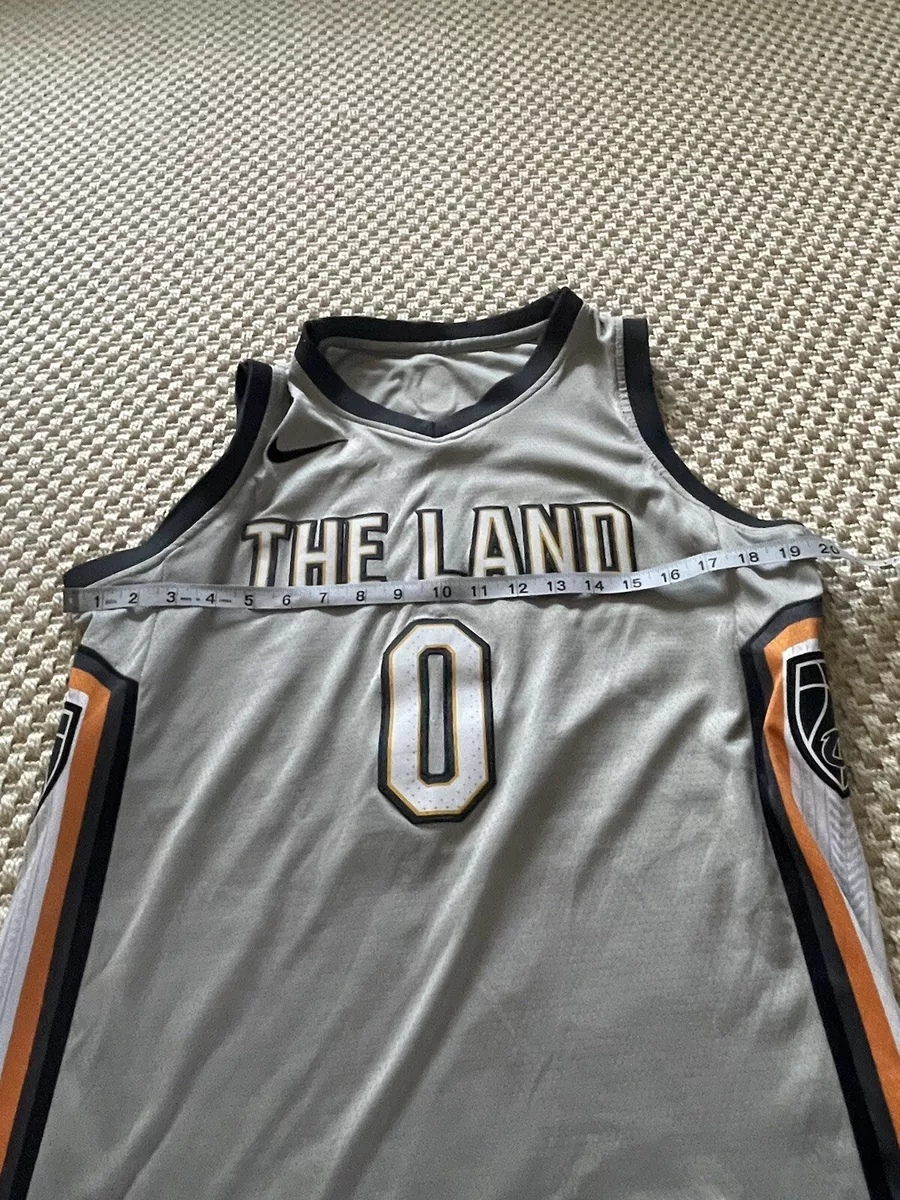 JerseyConnect - NIKE Kevin Love Cleveland Cavaliers The Land NBA