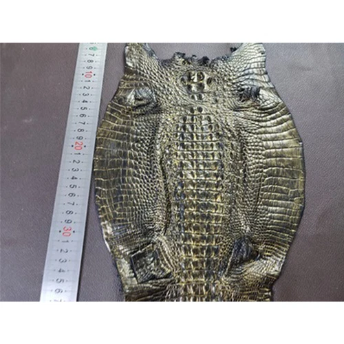 Real Alligator Crocodile Skin Leather Hide Exotic Soft Pelt DIY Craft Multicolor - Picture 16 of 40