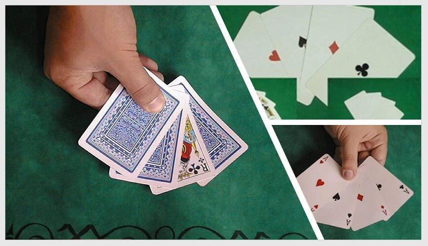 Lot de 3 Tours de magie de cartes Animagik - Photo 1/1