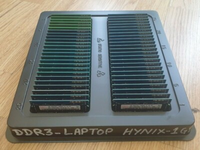 50GB Hynix (50x 1gb) RAM Arbeitsspeicher DDR3-1Rx8 PC3-10600S (ALLE passenden Sticks TRAY)