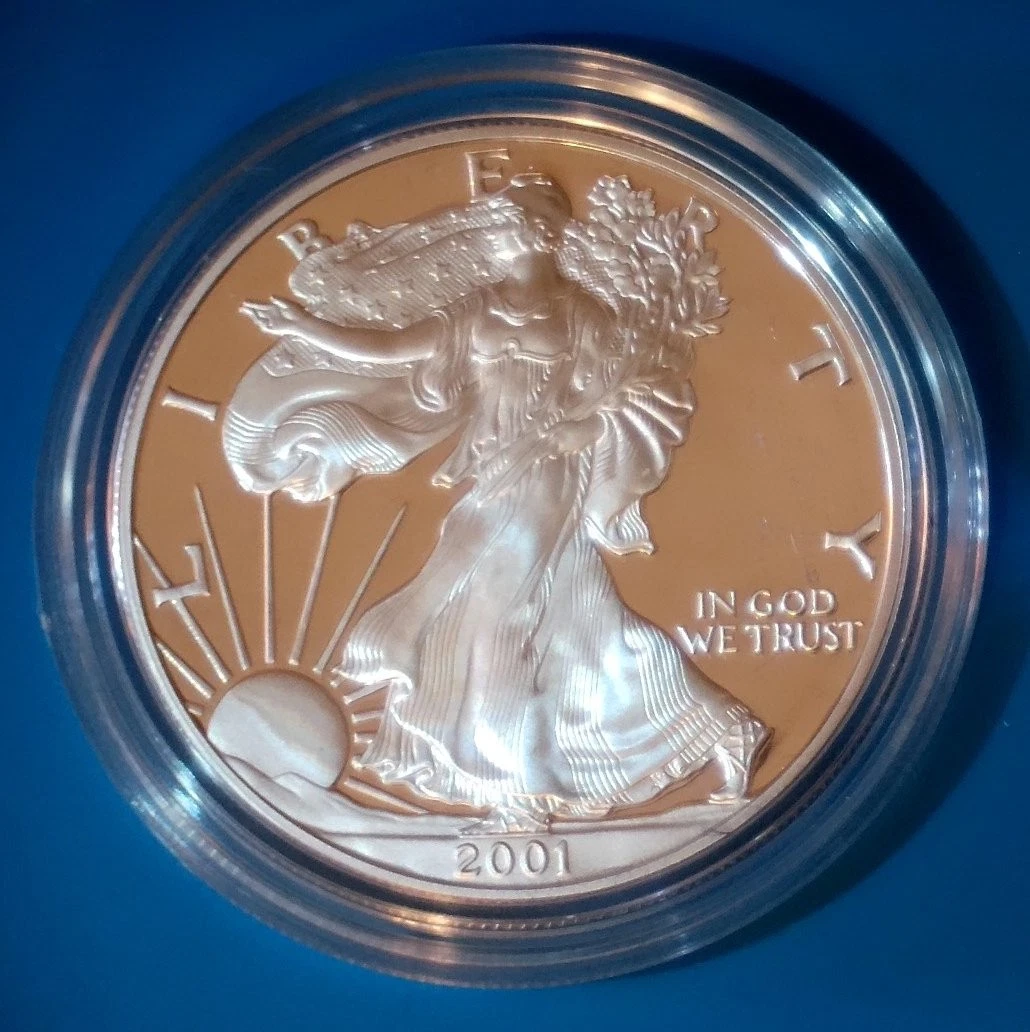 American Eagle Proof 2001 Silver Bullion Coins for sale | eBay