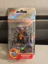 D D Icons Of The Realms Premium Miniatures Dragonborn Fighter Painted Miniatures