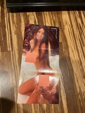 Christine Maddox Miss December 1973 Playboy Centerfold 