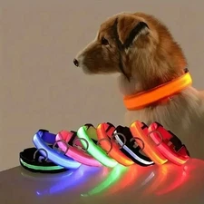 Safety Pet Dog LED Collar Night Flashing Light Up Adjustable Waterproof S-XL