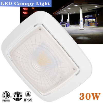 LED Canopy Light 30W LED Gas Station Parking Garage Light Warehouse Area Lights