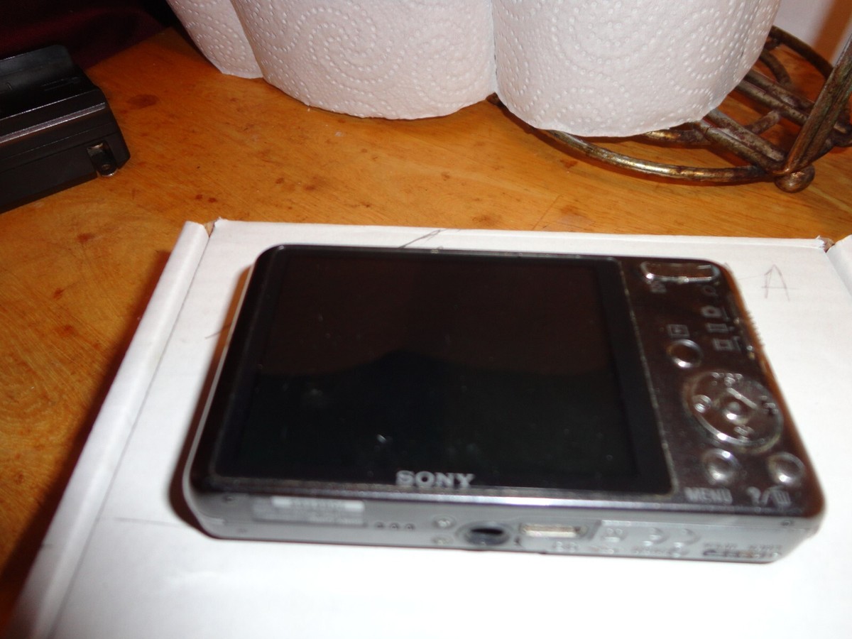 Sony Cyber-shot DSC-W570 16.1MP Digital Camera - Silver for Sony Cyber-shot DSC-W570 16.1MP Digital Camera - Silver for