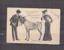 GERMANY, 1903 New Year ppc. Couple & Donkey. Weisbaden to Randfontein, Transvaal