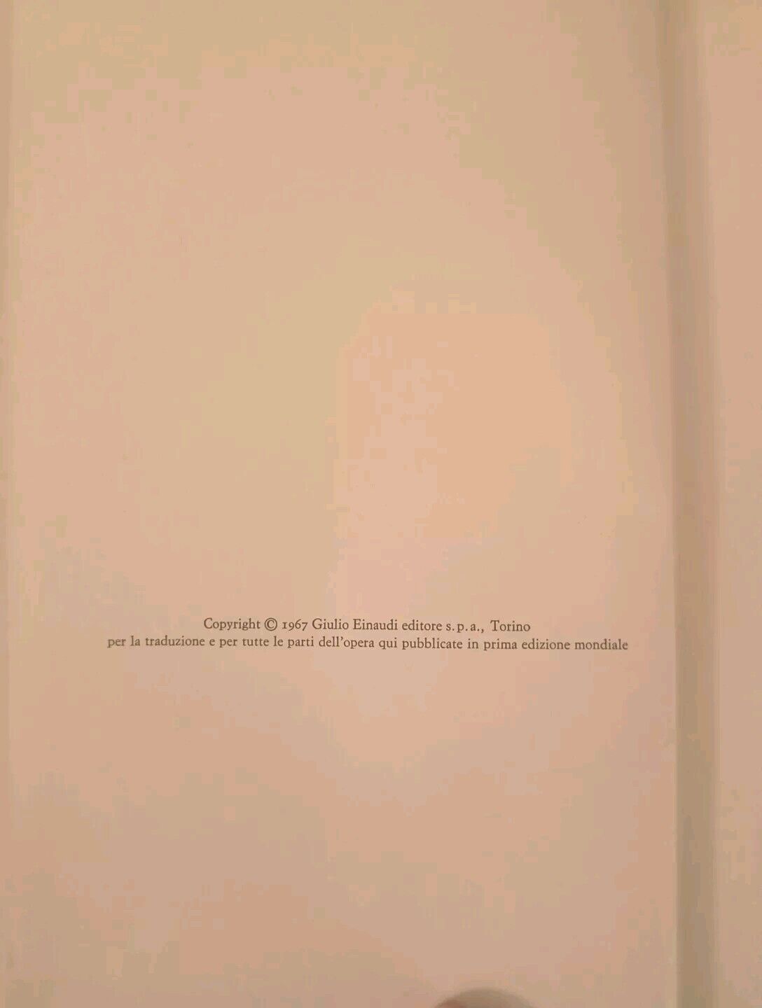 Foto 5 di 5