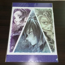 Demon Slayer: Kimetsu no Yaiba Fukusei Shinobu Kocho Giyu Clear File Folder