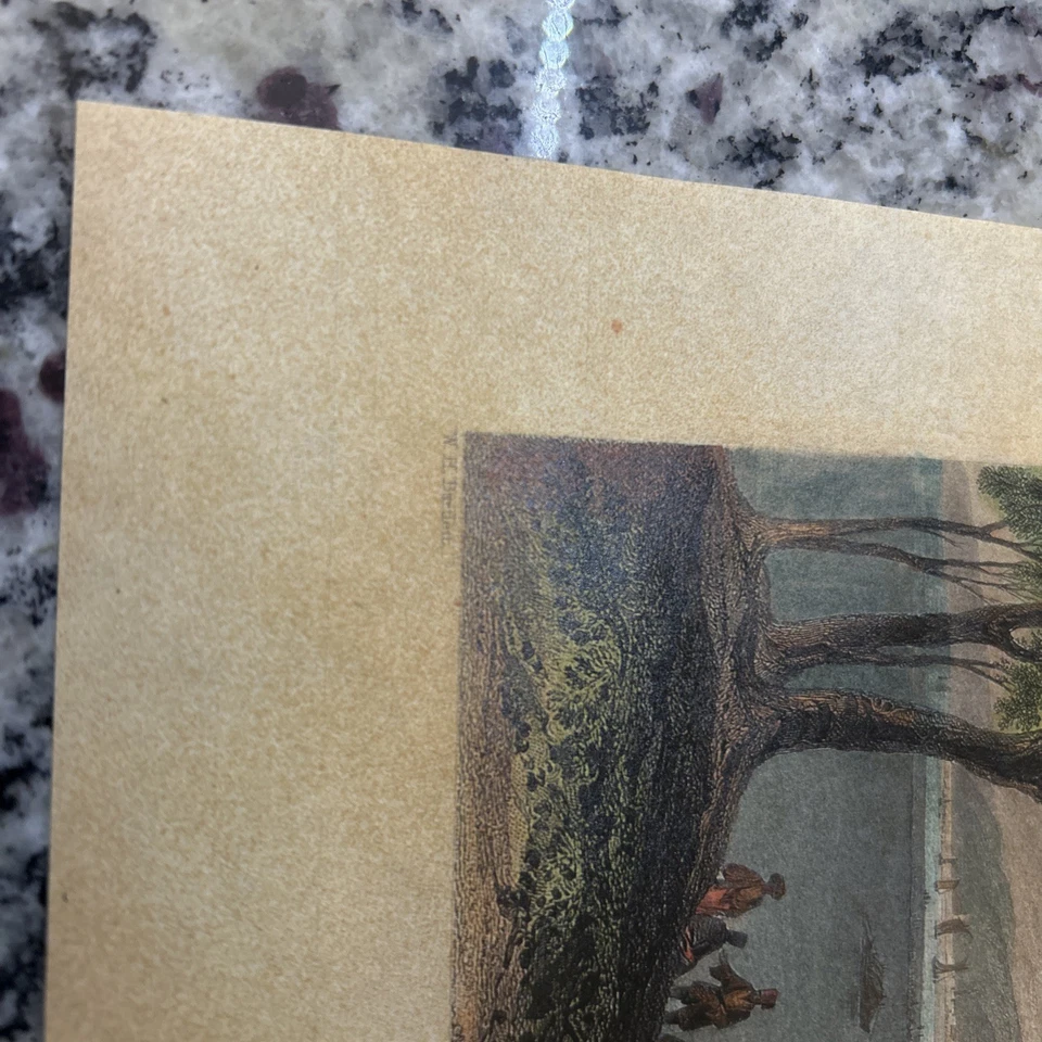 W.H. Grabado Bartlett - Belgrado - Impresión de placa a color - Grabado vintage Foto 3 de 4