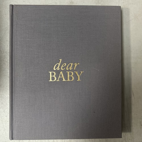 Pregnancy Prayer Journal - Christian Pregnancy Journal For Milestones - Line...