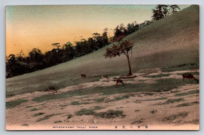 Mikasa-yama Hill Nara Japan Deer Vintage Hand Colored Postcard