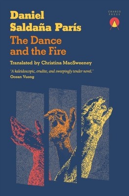 DANCE & THE FIRE by SALDANA PARIS, D Paperback Self Help Business