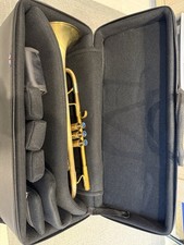 Taylor Piranha Custom Bb Trumpet