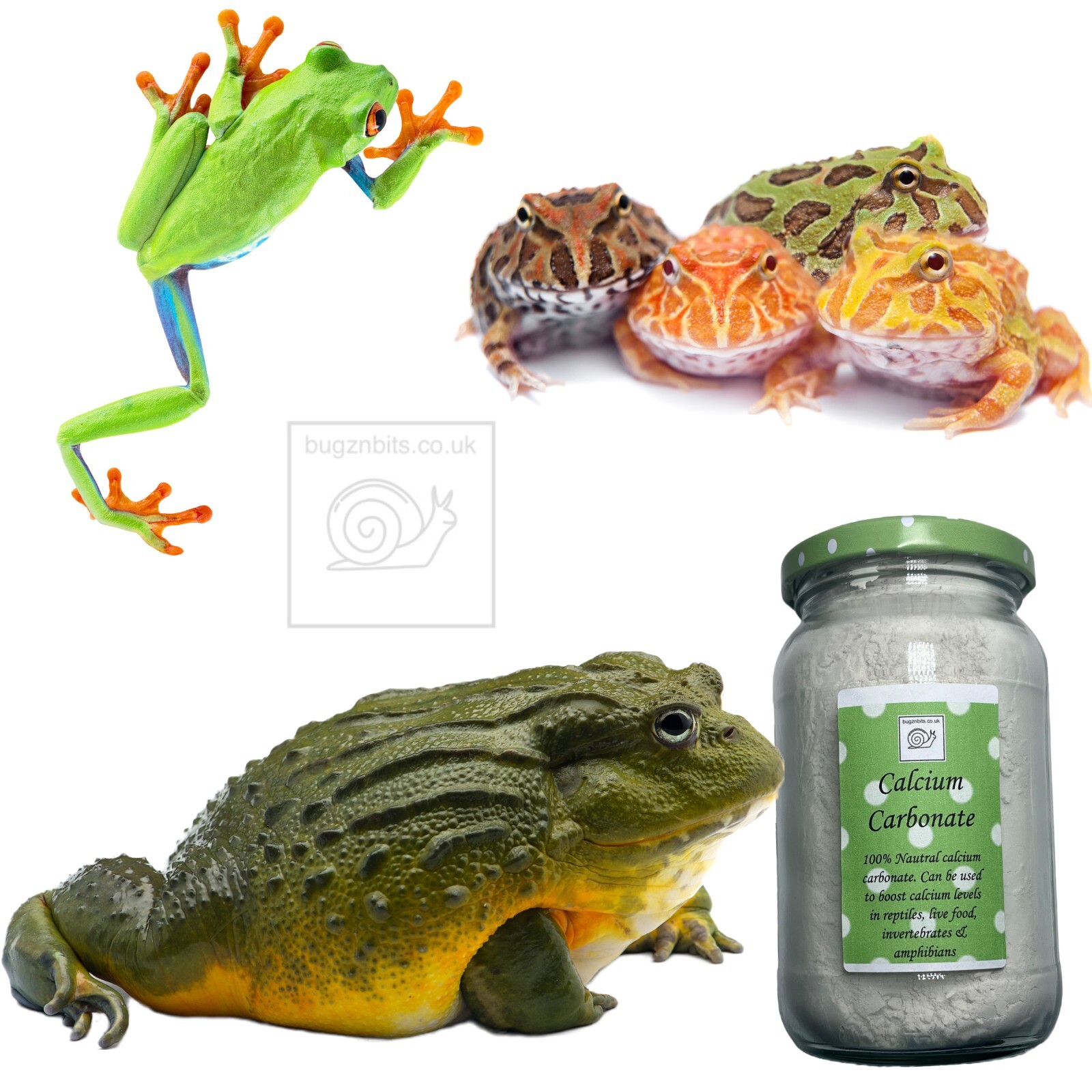 Foto 2 di 7