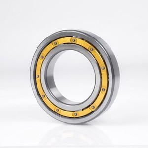 Подшипник skf 7205