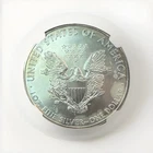 2009 American Silver Eagle Uncirculated Bullion $1 Coin Slight Toning