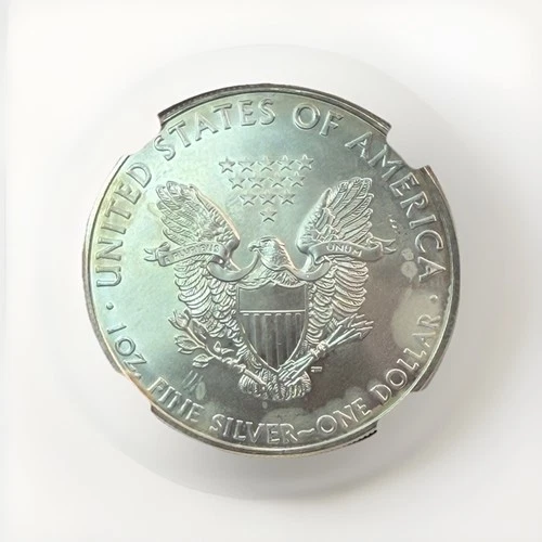 2009 American Silver Eagle Uncirculated Bullion $1 Coin Slight Toning