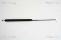 Heckklappen DäMpfer Gasfeder Kofferraum Triscan 8710 38225 FüR CitroËN C5 2 Hdi