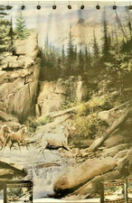 Hautman Bros. Fabric Shower Curtain Horse Canyon Horses Rustic Cabin Ranch